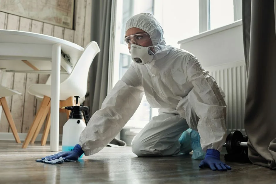 Cleaner using a vacuum in a stylish indoor setting, showcasing cleaning equipment and techniques.
